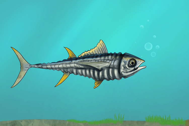 The thin and bony fish looked like a skeleton swimming around